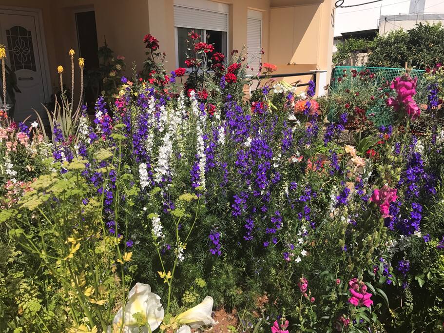 The flowers in entrance