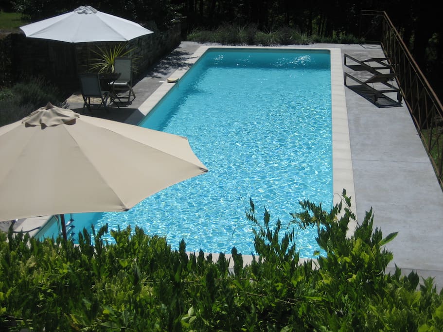 The pool