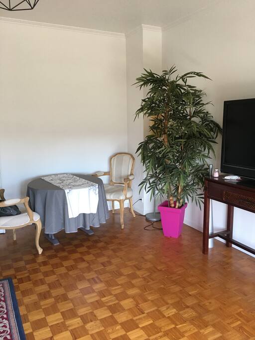 Salon/ Salle à manger