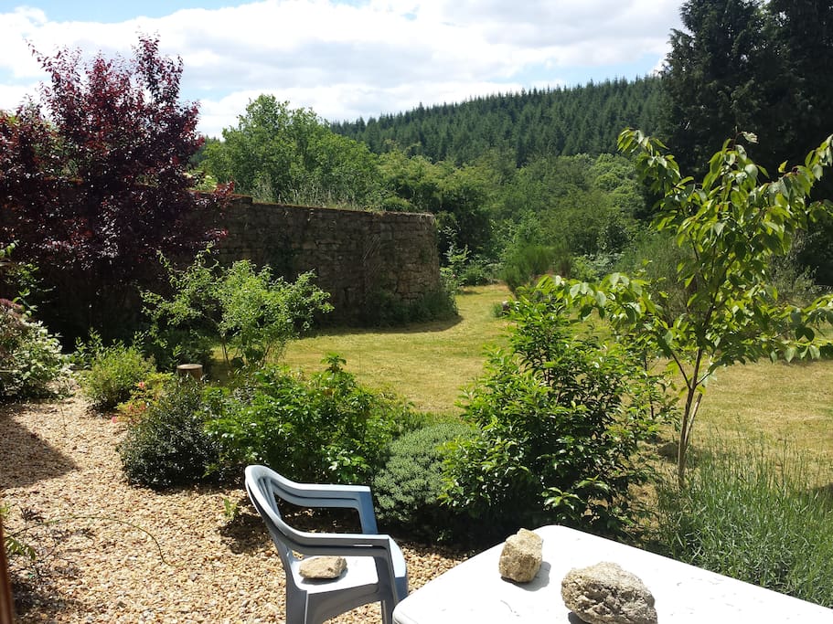 Back garden
