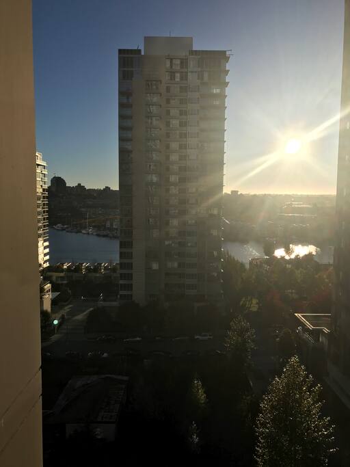 Bedroom View