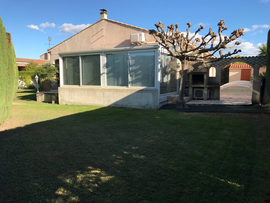 L'arbre que vous voyez est un murier platane qui, l'été procure une bonne ombre pour la farniente ou autre...