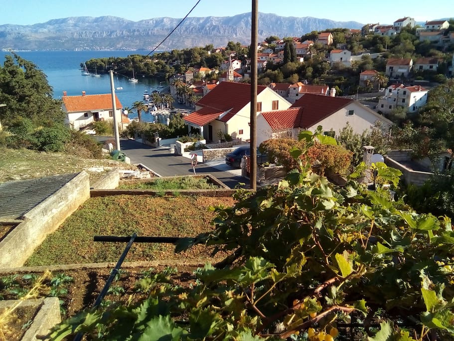 Village and seaview from terrace