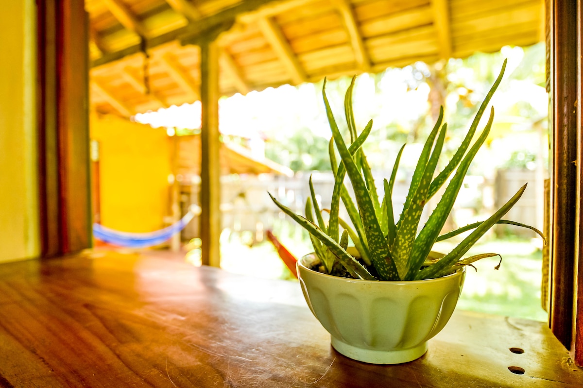 A green aloe vera plant sits in a white ceramic pot on a wooden surface, with sunlight filtering through a nearby window. The background reveals a glimpse of an outdoor space featuring a hammock, enhancing the sense of nature and tranquility.