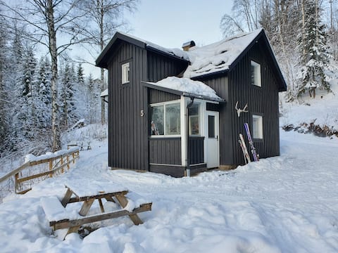 Branäs - อาศัยอยู่ในธรรมชาติใกล้ลานสกี
