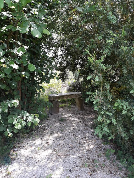 jardin