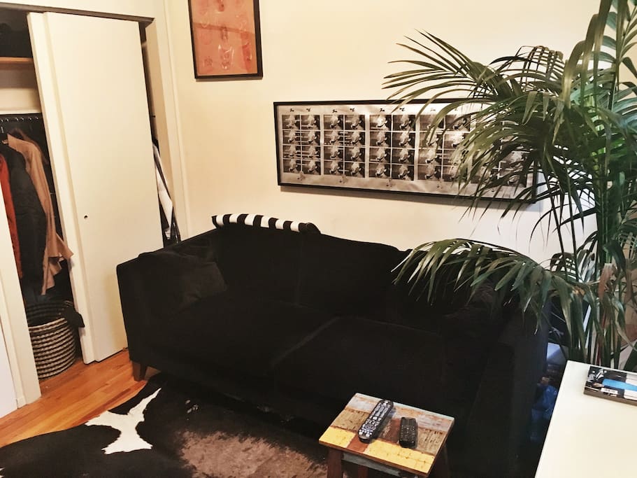Velvety couch in Living Rm