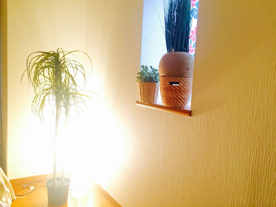 Light
