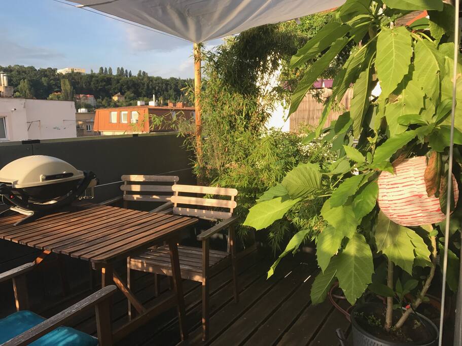 Terrace with grill
