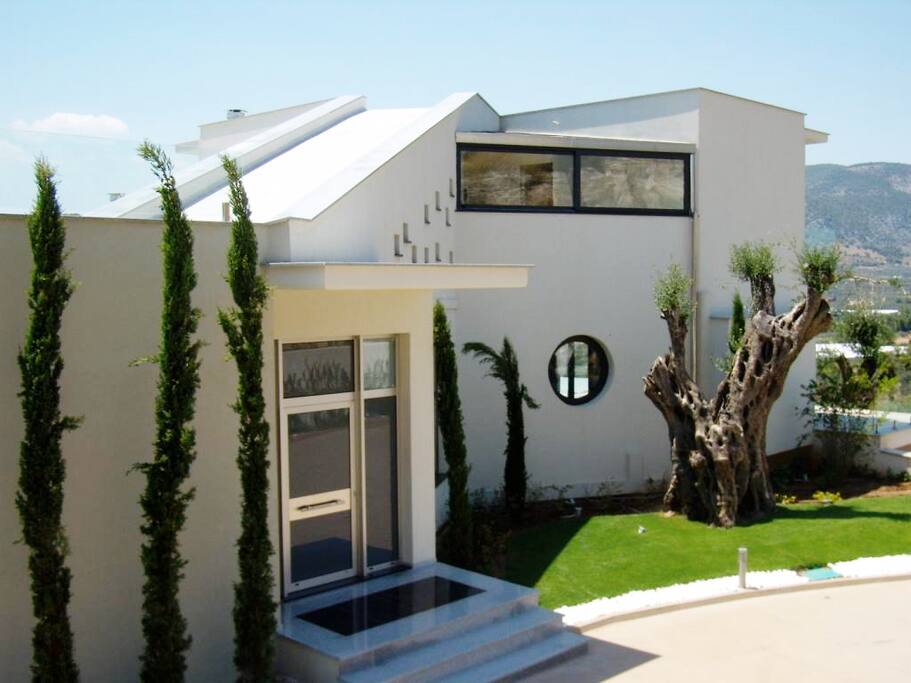 The estate