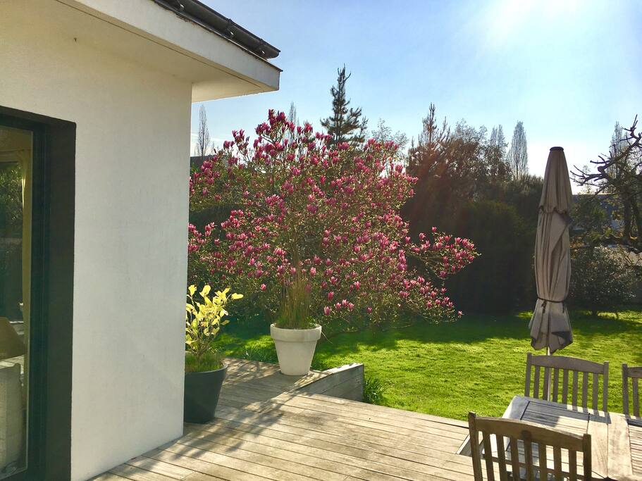 Jardin côté terrasse