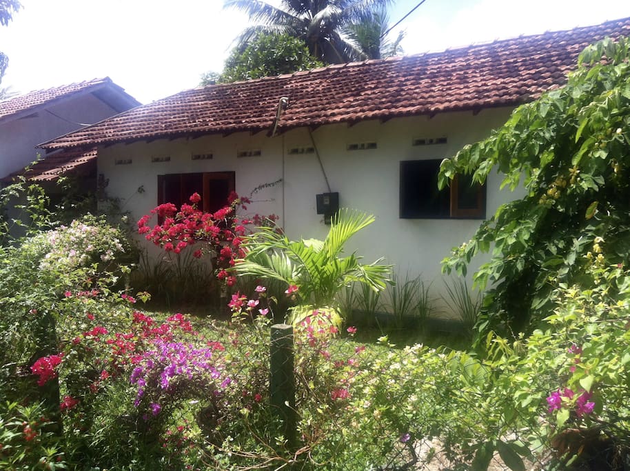 A typical village-style house in Dalupotha, Negombo