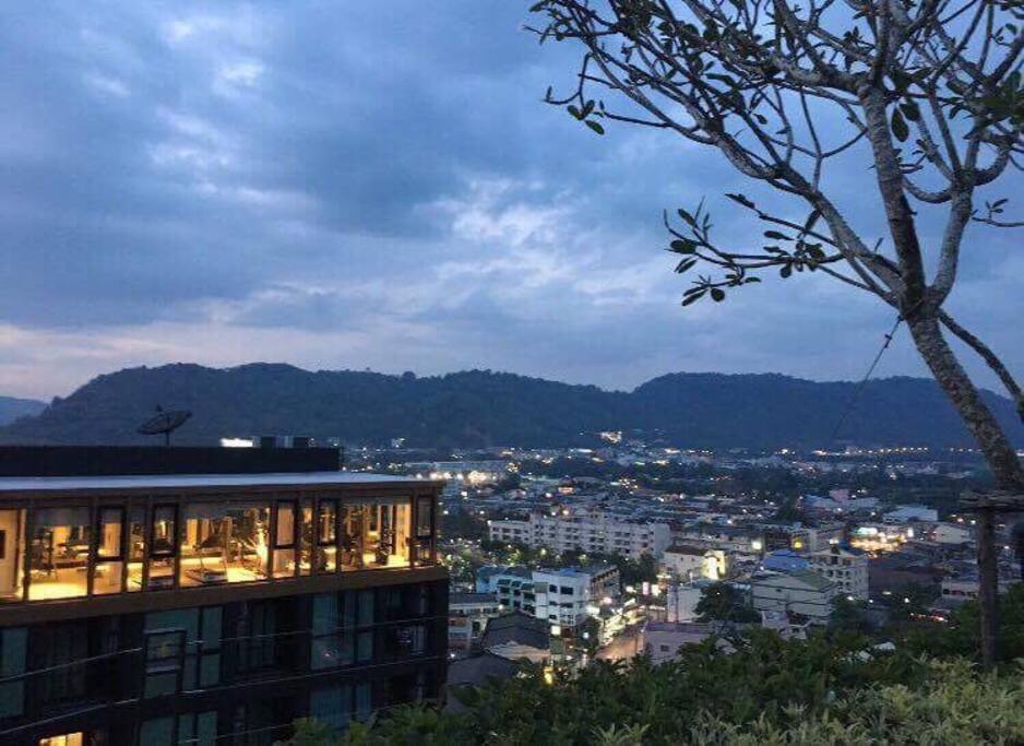 Garden on the roof beside the swimming pool. Exclusive area for relaxation. Phuket town view.