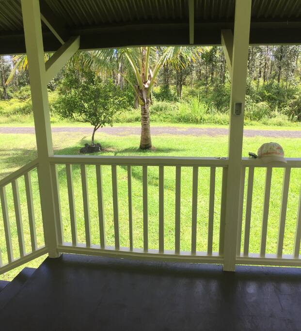 Standing on the front deck looking into the front yard at a tangerine and coconut tree.