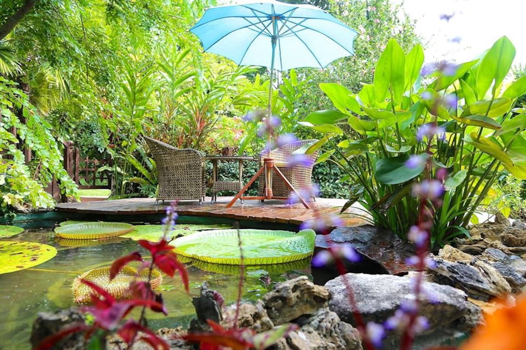 Overlooking the tropical garden and waterfall