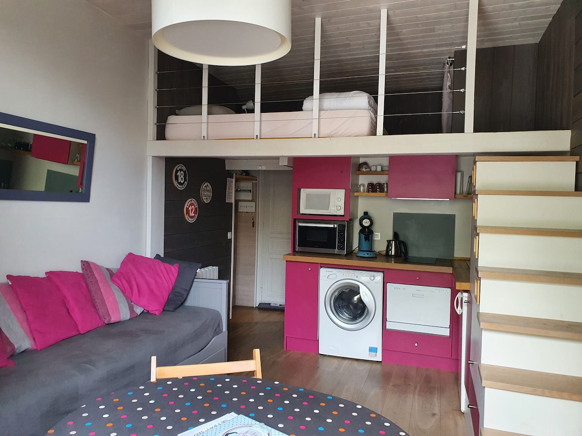 An open interior layout features a living area with a dark sofa adorned with vibrant pink cushions. The kitchen area, equipped with modern appliances, is complemented by a dining table. A staircase leads to a cozy loft with a spacious bed, adding dimension to the studio.