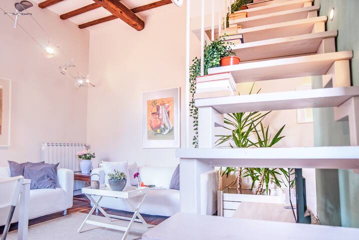 Venus – On the roofs of Florence gallery image 5