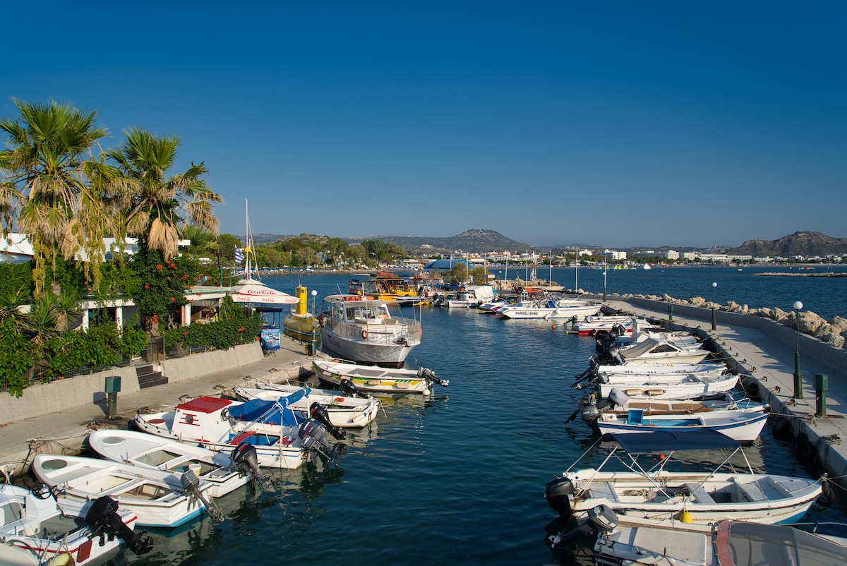 A serene harbor scene showcases numerous boats docked along a calm waterfront. Towering palm trees provide shade along the promenade, while distant hills frame the backdrop. Clear blue skies reflect on the water, enhancing the tranquil atmosphere of the marina.
