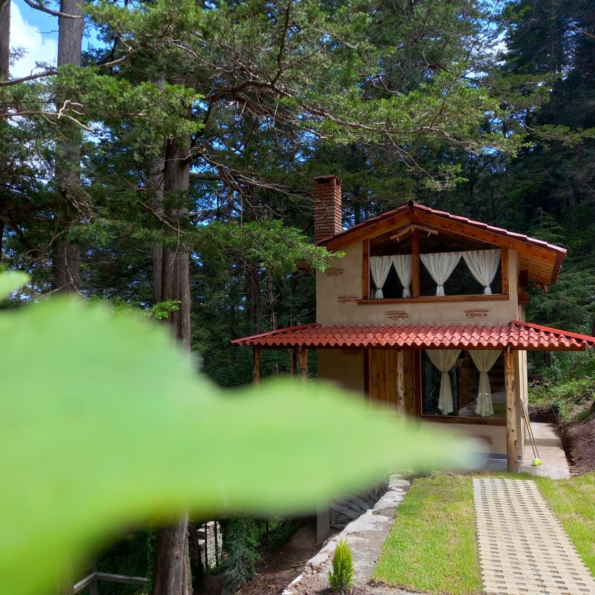 Cabaña Cedro Limón Cabañas en renta en Mineral del Chico, Hidalgo, México Airbnb