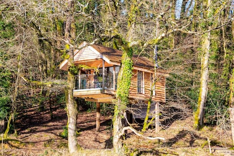 Yeworthy Eco-Treehouse - Off-Grid, Private Retreat