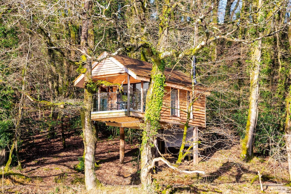 An off-grid treehouse above a hidden lake, Eworthy, Devon, United Kingdom, photo 1 of 10
