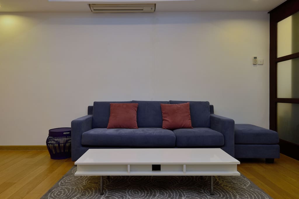 Stylish cozy apartment with large living room
