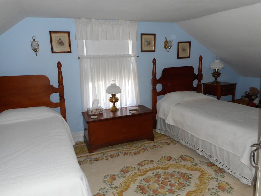 Upstairs Blue Bedroom with Twin Beds