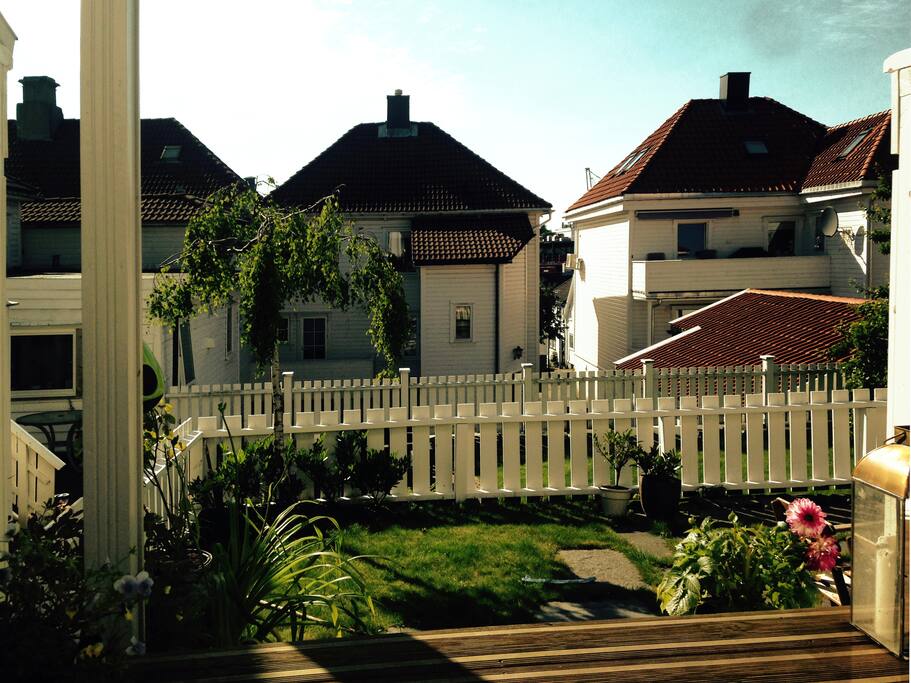 View from the kitchen door.