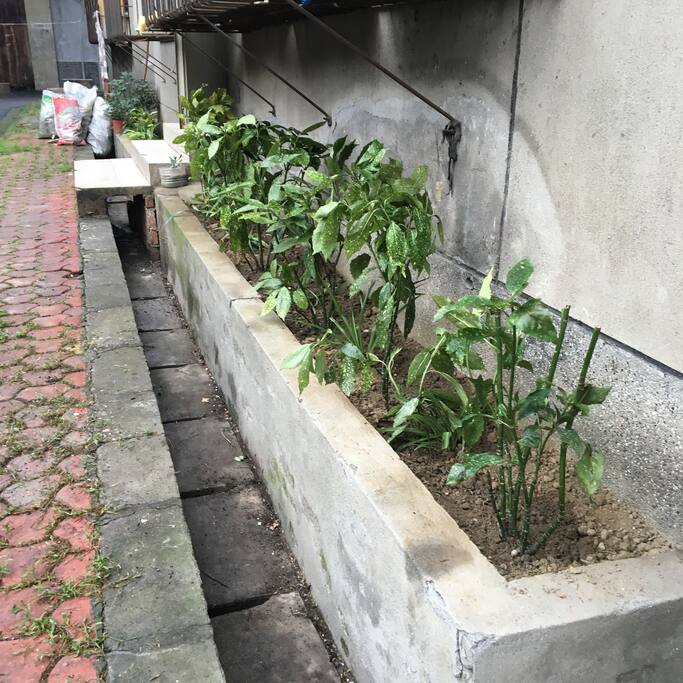 进门花园