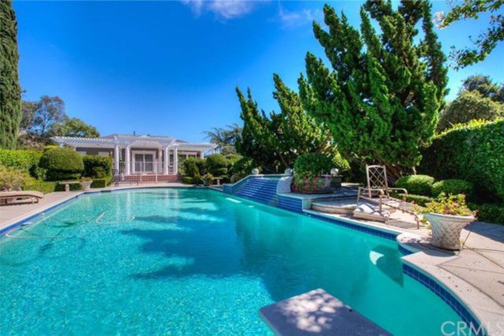 Stunning Sparkling Pool & Spa