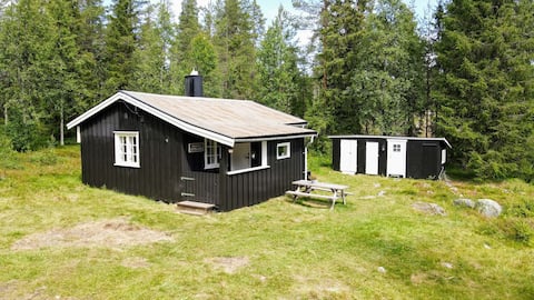 Cabin with hot tub all for themselves in the mountains