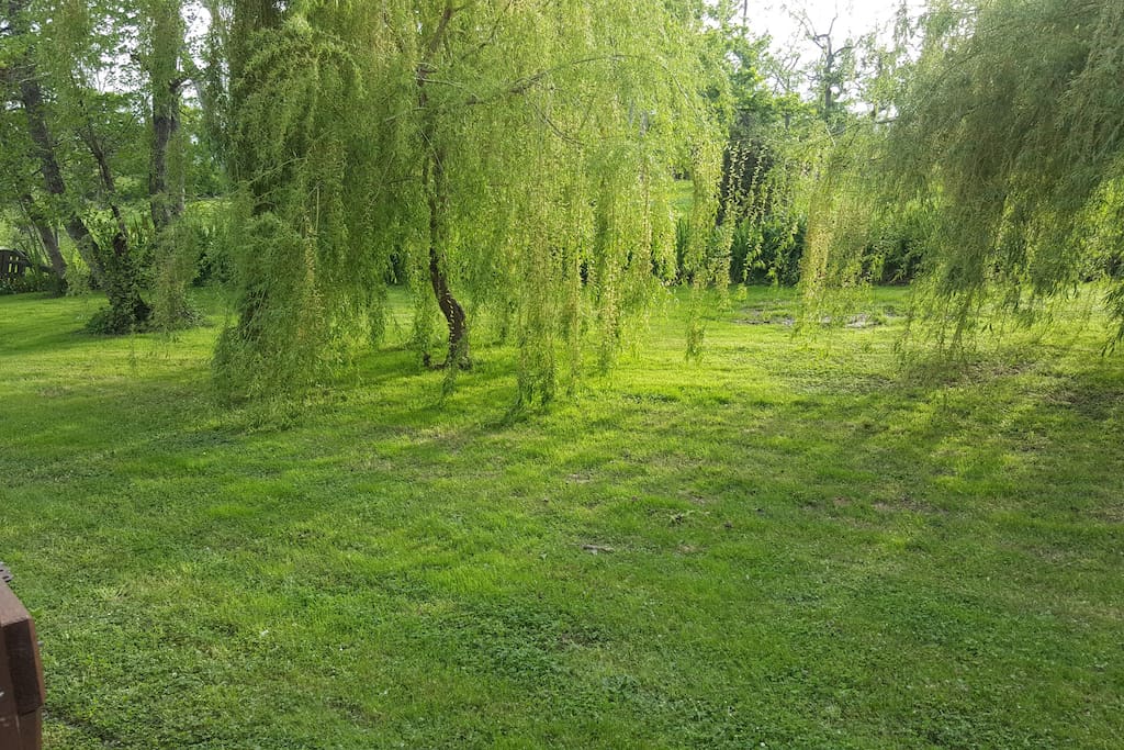 jardin
