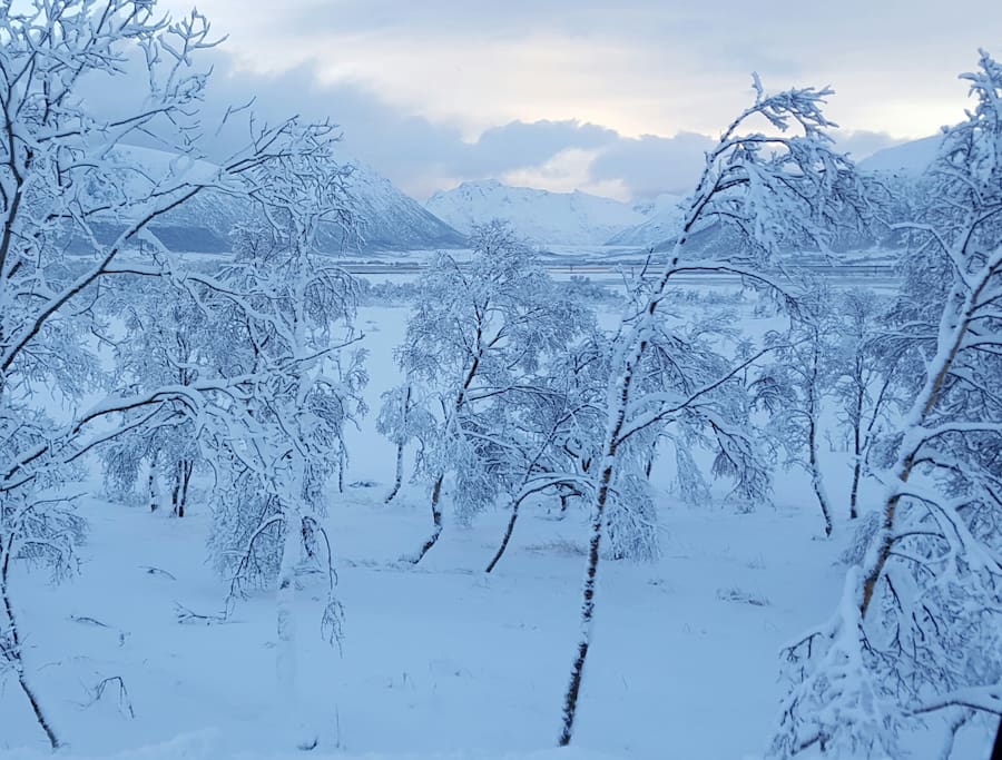 Fairytale landscape