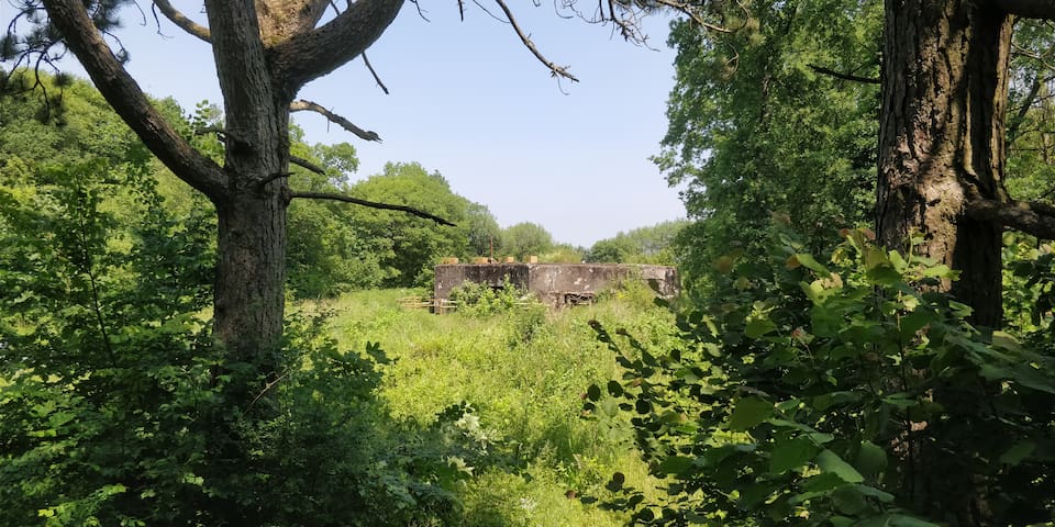 Fort retranché dans les bois