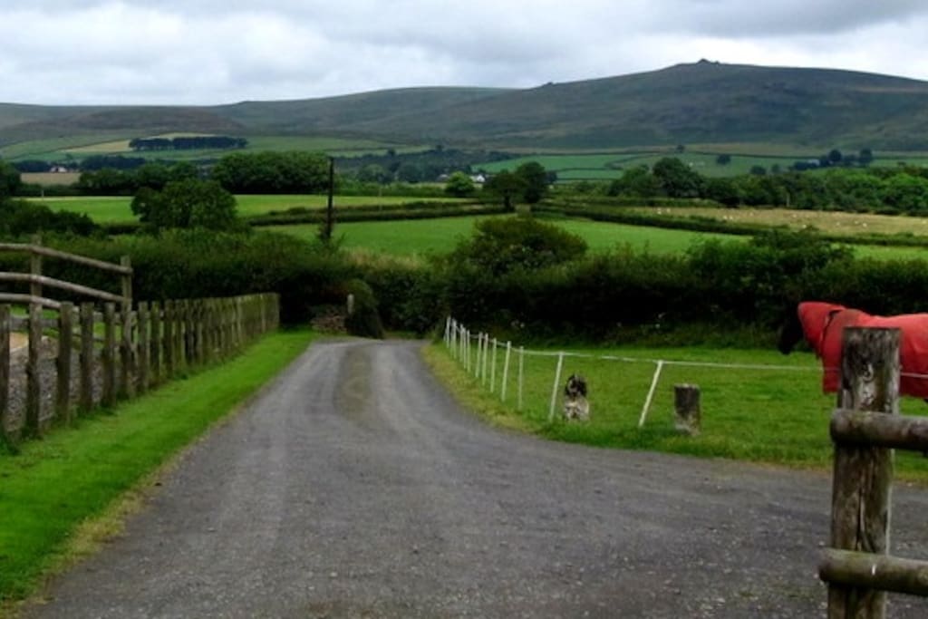 Spectacular views over Dartmoor. Set in a private section of the spacious grounds of Raddon Barton organic working farm. Horses, cows, sheep, chickens all managed by owners and working dogs.