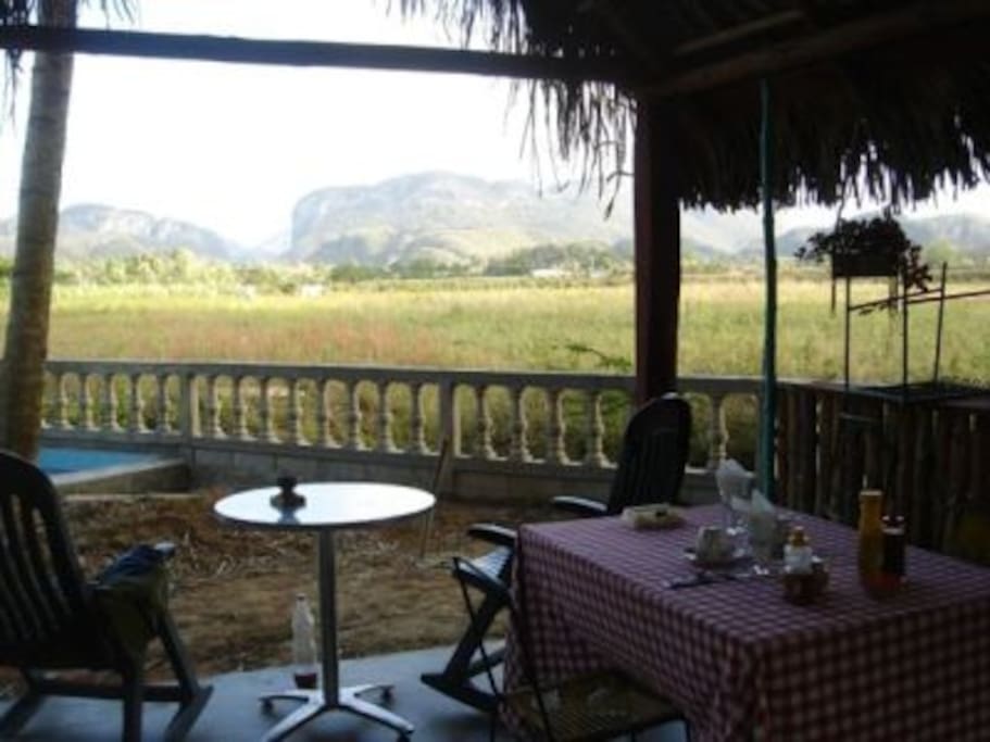 Terrace 1