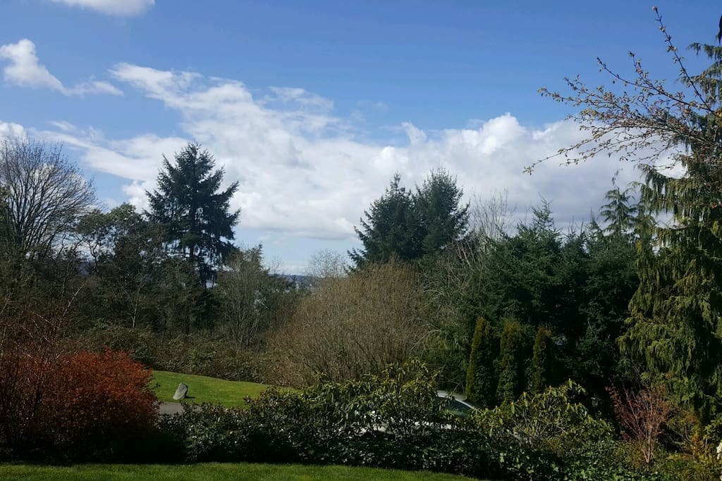 View from Patio