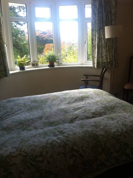 A treat to have the light from the bay window.