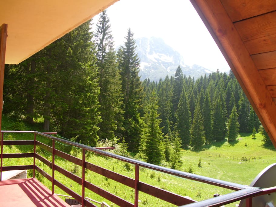 View on the Black forest