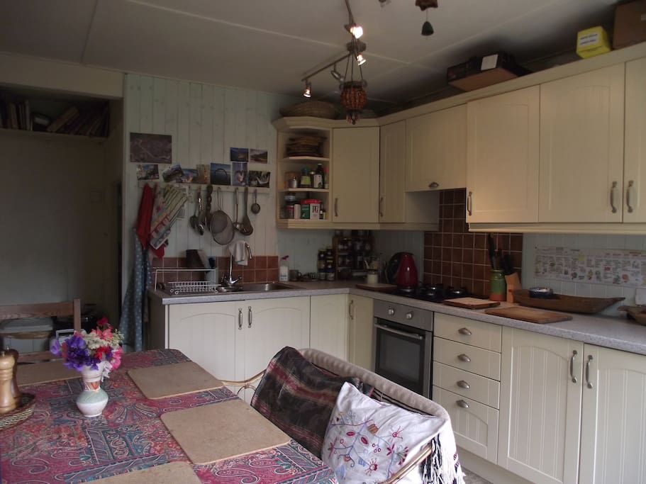 Kitchen From the Back Door