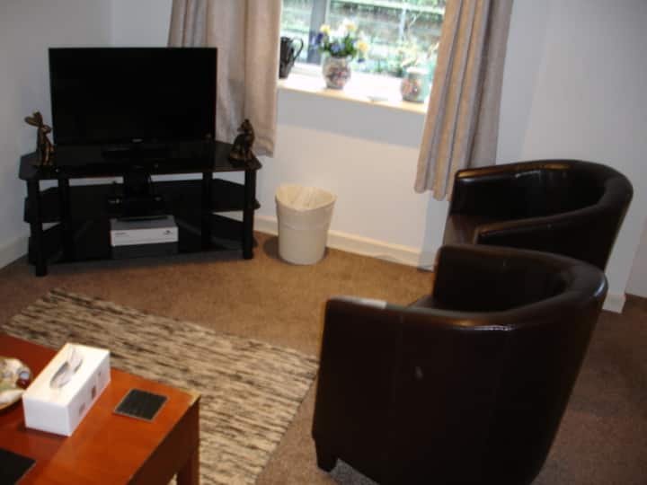 פינת הישיבה עם כיסאות אמבטיה, טלוויזיה
וספה