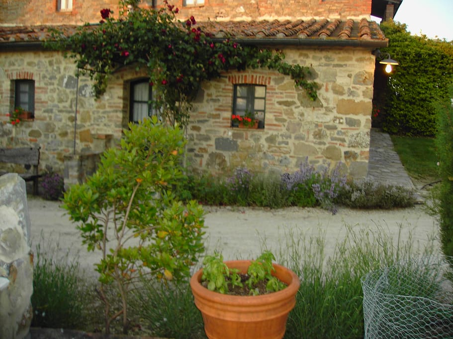 ingresso Lavanda