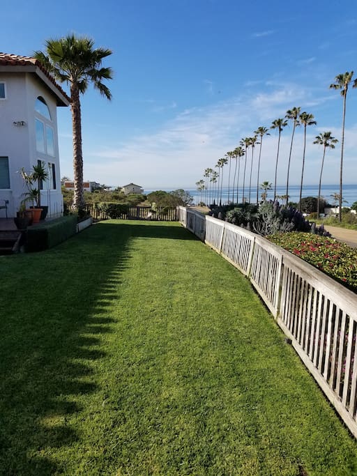 Front yard view of palms and ocean.