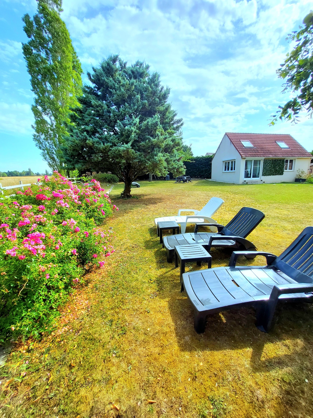 A serene garden area features several lounge chairs positioned on a grassy lawn. Colorful flowering shrubs add vibrancy to the scene, while a large tree provides shade nearby. A quaint house is visible in the background, completing the tranquil outdoor space.