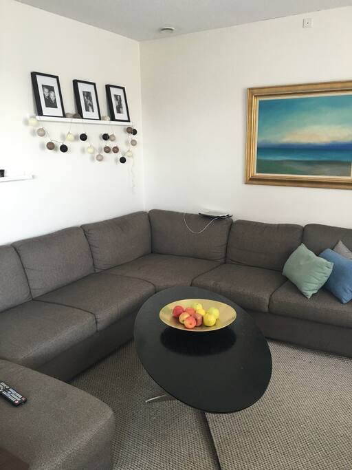 Sofahjørnet. Der er BluRay dvd, Xbox-360, 46" Samsung Smart tv.