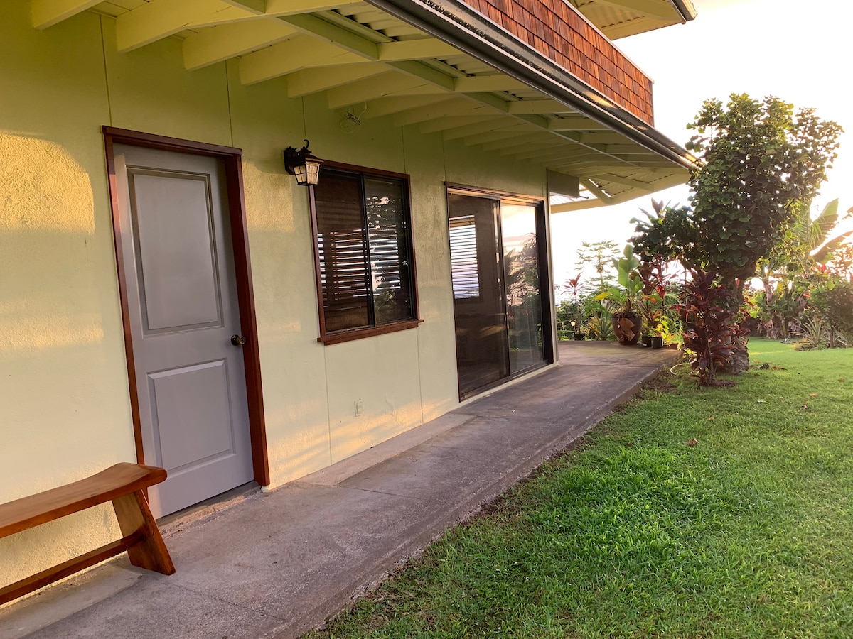 A pathway leads to the private entrance of the unit, featuring a smooth concrete surface. Adjacent to the door, a bench is placed near a large window. Lush greenery surrounds the entrance, creating a serene atmosphere.