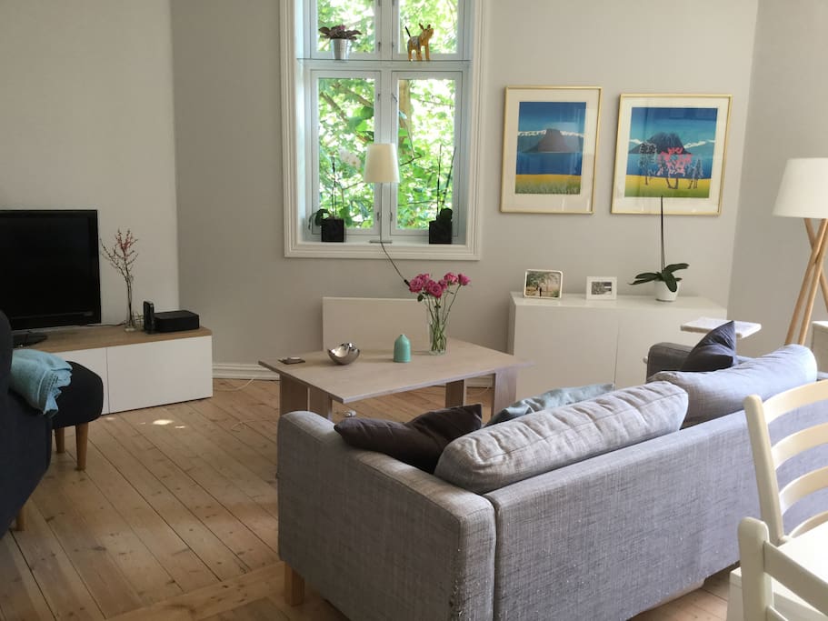 Confortable and light living room with TV and acess to internet