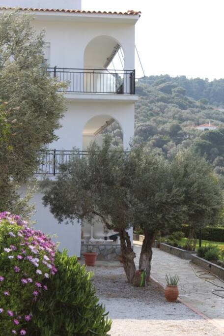 Part of Villa Thea
