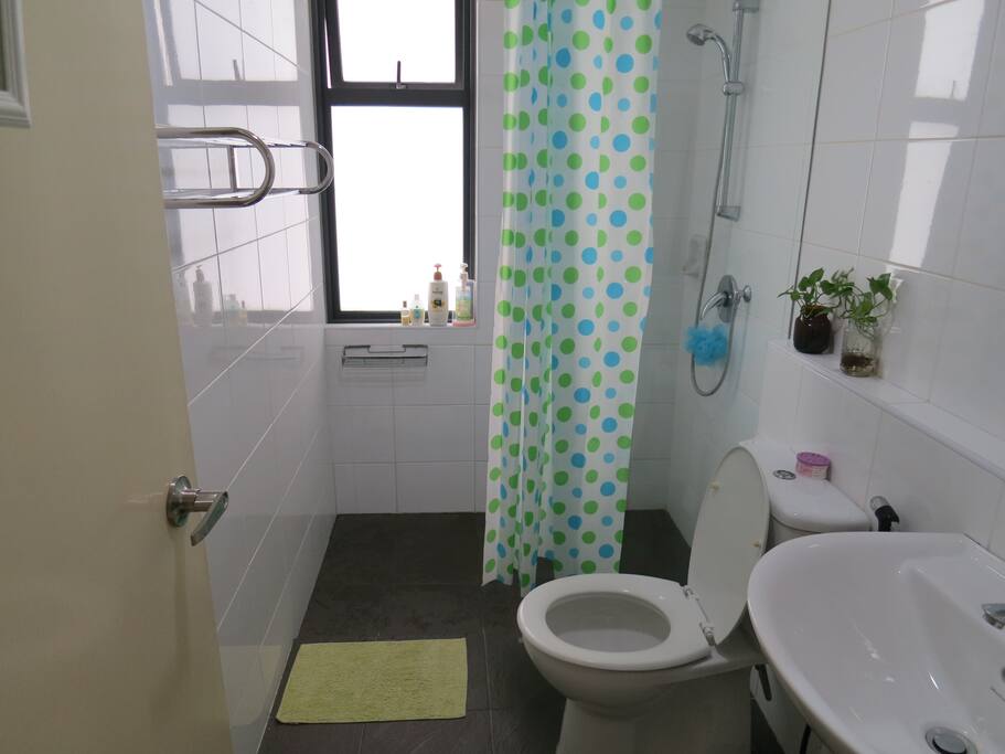 Guest bathroom