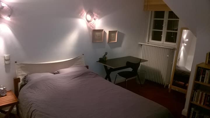 Room With Private Bath (En-suite) - Luxembourg City